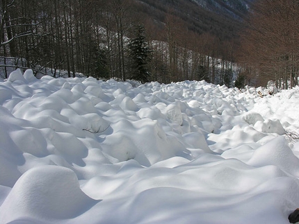 La prevenzione degli incidenti da valanga nelle escursioni con le racchette da neve - Accumulo valanghivo nel bosco vicino a Casera Berdo, gruppo del Canin, Alpi Giulie