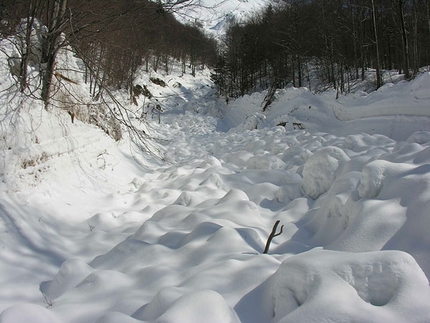 La prevenzione degli incidenti da valanga nelle escursioni con le racchette da neve - Accumulo valanghivo nel bosco vicino a Casera Berdo, gruppo del Canin, Alpi Giulie