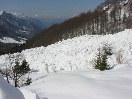 La prevenzione degli incidenti da valanga nelle escursioni con le racchette da neve - Accumulo valanghivo nel bosco vicino a Casera Berdo, gruppo del Canin, Alpi Giulie