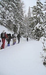 La prevenzione degli incidenti da valanga nelle escursioni con le racchette da neve - Con le ciaspe in Friuli Venezia Giulia. 