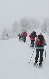 La prevenzione degli incidenti da valanga nelle escursioni con le racchette da neve - Con le ciaspe in Friuli Venezia Giulia. 