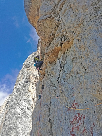 Marmolada, Dolomiti, Piz Serauta, Tentar non nuoce, Rolando Larcher, Tiziano Buccella, Geremia Vergoni - Rolando Larcher in apertura dell'8°tiro nel 2021 di Tentar non nuoce al Piz Serauta in Marmolada