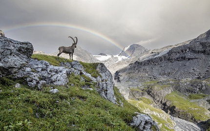 Al via la 16° edizione del Concorso Internazionale Fotografare il Parco