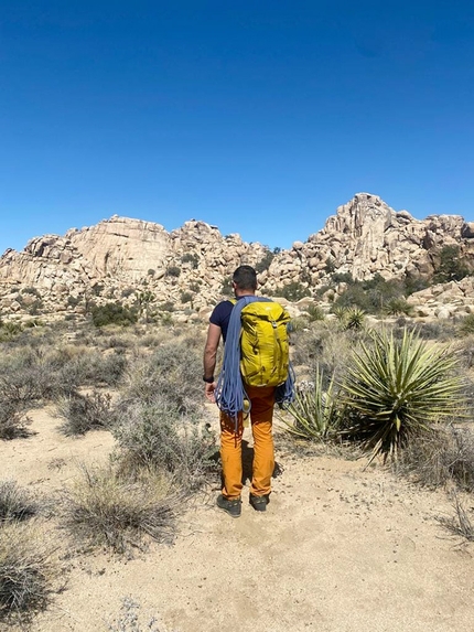 California climbing USA - Cambio di settore a Joshua Tree