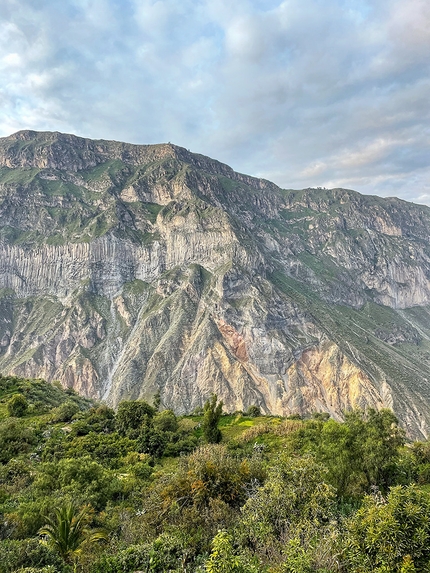 Cañón del Colca , Perù, Nicolò Guarrera - Canyon del Colca in Perù