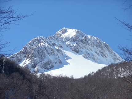 Gruppo del Monte Terminillo, Appennino, Pino Calandrella - Avancorpo della Sassetelli, Gruppo del Monte Terminillo (Appennino)