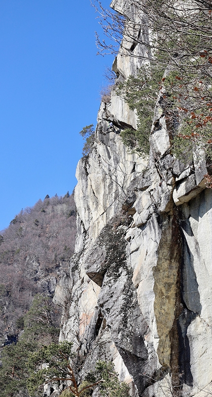 Val Rendena, Parco Naturale Adamello Brenta, Marco Maganzini - La Cuspide Scarlatta (Val Rendena) - apertura della quarta lunghezza, Marco Maganzini