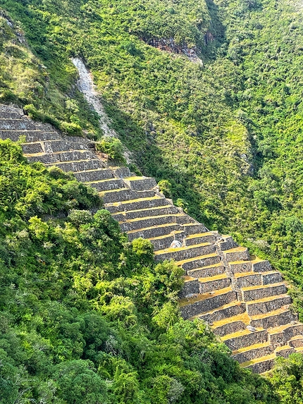 Choquequirao, Perù, Nicolò Guarrera - Choquequirao in Perù: terrazze dei llama