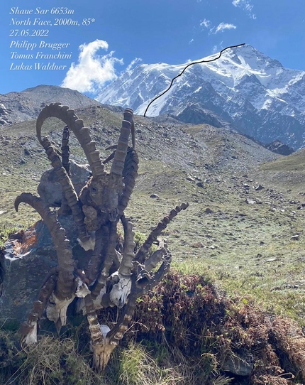 Karakorum, Pakistan, Philipp Brugger, Tomas Franchini, Lukas Waldner - Shaue Sar (6653m) in Karakorum, Pakistan (Philipp Brugger, Tomas Franchini, Lukas Waldner 27/05/2022)