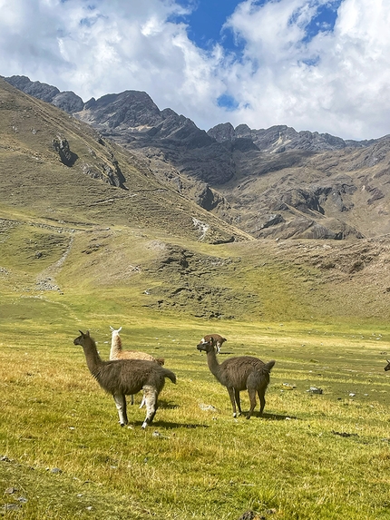 Bolivia, trekking, Circuito Illampu, Cordillera Real,   Nicolò Guarrera - Circuito Illampu in Bolivia