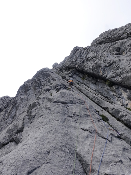 Cerro Tornillo, Perù, Nicolò Geremia, Thomas Gianola, Giovanni Zaccaria - Nicolò Geremia in arrampicata sul Cerro Tornillo, Perù