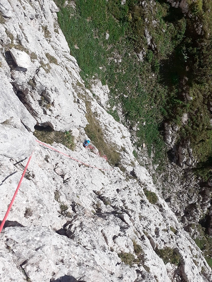 Campanile degli Amici, Pale di San Lucano, Dolomiti, Ivo Ferrari, Federica Maslowsky - L'apertura di 'Sognai talmente forte che mi uscì il sangue dal naso' al Campanile degli Amici, Pale di San Lucano, Dolomiti (Ivo Ferrari, Federica Maslowsky (27/06/2022)