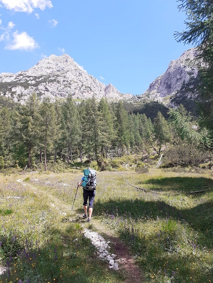 Campanile degli Amici, Pale di San Lucano, Dolomiti, Ivo Ferrari, Federica Maslowsky - Avvicinamento al Campanile degli Amici, Pale di San Lucano, Dolomiti (Ivo Ferrari, Federica Maslowsky (27/06/2022)