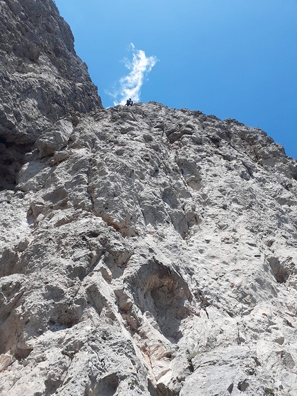 Campanile degli Amici, Pale di San Lucano, Dolomiti, Ivo Ferrari, Federica Maslowsky - L'apertura di 'Sognai talmente forte che mi uscì il sangue dal naso' al Campanile degli Amici, Pale di San Lucano, Dolomiti (Ivo Ferrari, Federica Maslowsky (27/06/2022)