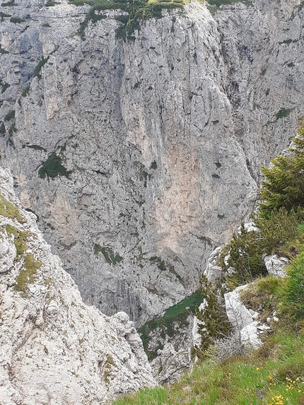 Campanile degli Amici, Pale di San Lucano, Dolomiti, Ivo Ferrari, Federica Maslowsky - L'apertura di 'Sognai talmente forte che mi uscì il sangue dal naso' al Campanile degli Amici, Pale di San Lucano, Dolomiti (Ivo Ferrari, Federica Maslowsky (27/06/2022)