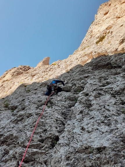 Campanile degli Amici, Pale di San Lucano, Dolomiti, Ivo Ferrari, Federica Maslowsky - L'apertura di 'Sognai talmente forte che mi uscì il sangue dal naso' al Campanile degli Amici, Pale di San Lucano, Dolomiti (Ivo Ferrari, Federica Maslowsky (27/06/2022)