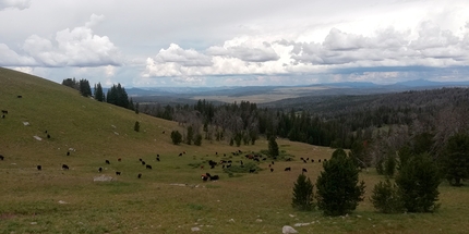 Wyoming, Backcountry, Wind River Range, trekking, USA, Diego Salvi - Backpacking Wyoming: pascoli verso Dubois