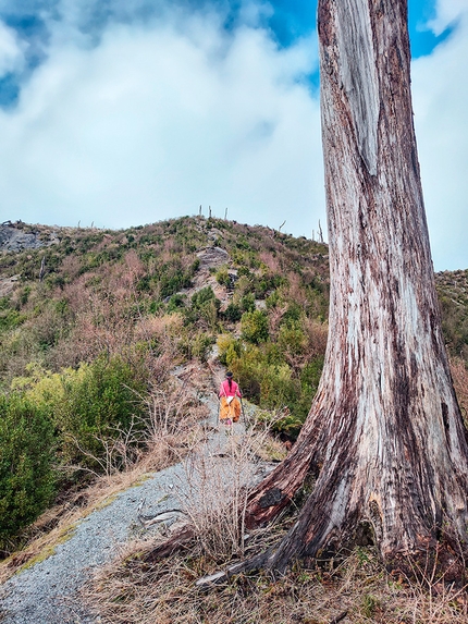 Patagonia, trekking, Cile, Parco Nazionale Pumalin Douglas Tompkins, Nicolò Guarrera - La salita al Chaiten, Parco Nazionale Pumalin Douglas Tompkins, Patagonia, Cile