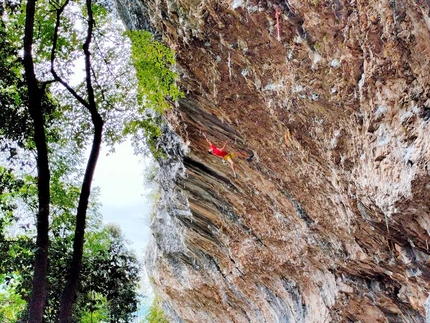 Davide Picco sends Ultimatum (9a+) at Massone, Arco, Italy