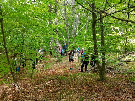 Terapia Forestale: un progetto europeo dell'Università di Udine per il benessere e lo sviluppo locale
