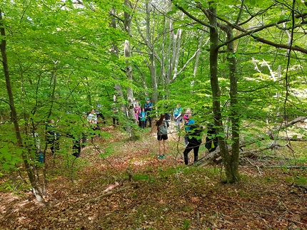 Terapia Forestale: un progetto europeo dell'Università di Udine per il benessere e lo sviluppo locale