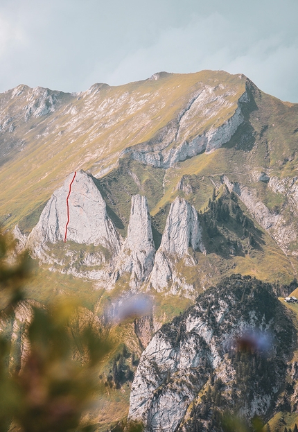 Michael Wohlleben, Bodhichitta, Westliche Dreifaltigkeit, Svizzera - La linea di Bodhichitta, Westliche Dreifaltigkeit, Svizzera, liberata da Michael Wohlleben