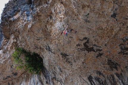 Anak Verhoeven, Rodellar, No pain no gain, Spain - Anak Verhoeven dealing with No pain no gain 9a+ at Rodellar in Spain