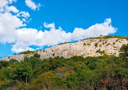 Viaggio nella terra del sole. Il nuovo settore I Cinghiali a Cerchiara di Calabria