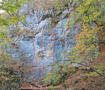 Bosco Incantato, Leonessa, Rieti - Settore Bacche Rosse, Leonessa, Italy
