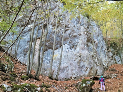 Bosco Incantato, Leonessa, Rieti - Settore Pancione, Bosco Incantato