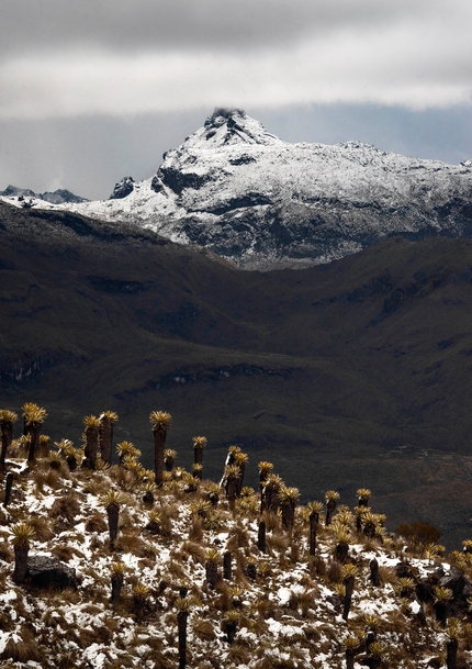 Colombia tropical glaciers, Gustavo Acosta - Tropical glaciers of Colombia: Paramillo de Quindio