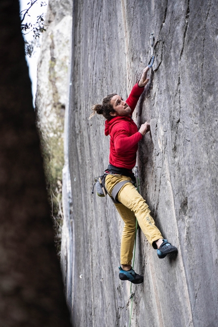 Francesco Morandi, Pungitopo, Red Point Wall, Arco - Francesco Morandi repeating Pungitopo (8c+), Red Point Wall, Arco