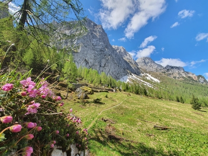 I Sentieri Cai 227 e 228 tra Sappada e Val Pesarina primi tra I Luoghi del Cuore FAI dell'Alto Friuli