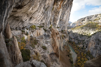 Jakob Schubert, DNA, Verdon Gorge - Jakob Schubert attempting DNA (9c) at La Ramirole in the Verdon Gorge, France, November 2022