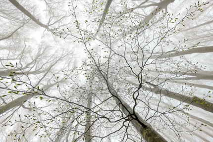 Fotografare il Parco XVI edizione - Tra inverno e primavera di Elisa Confortini, 3° assoluto Fotografare il Parco XVI edizione