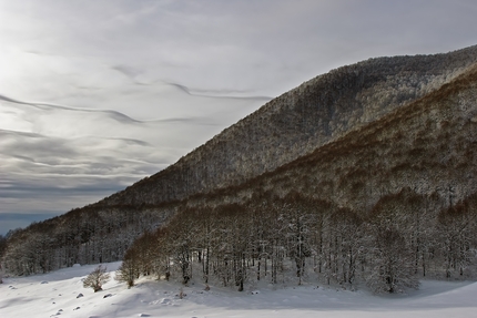 Fotografare il Parco XVI edizione - Fotografare il Parco XVI edizione, Paesaggi: Parco Nazionale d’Abruzzo, Lazio e Molise: Layer. Forca d’Acero di Marco Pantanella