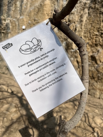 Mišja Peč, Slovenia - Climbing is currently prohibited on a selection of climbs at Misja Pec in Slovenia due to nesting birds, March 2023