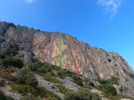 Sardinia, Punta su Mulone, Marco Pellegrini, Manuel Zambanini - The multipitch climbs on the South Face of Punta su Mulone, Baunei, Sardinia. Purple: Giumar (Giulia Orlandi, Marco Pellegrini 2021). Green: Tempi Interessanti (Marco Pellegrini, Luca Vallata 2022). Red: Penso Positivo (Marco Pellegrini, Manuel Zambanini 2020)