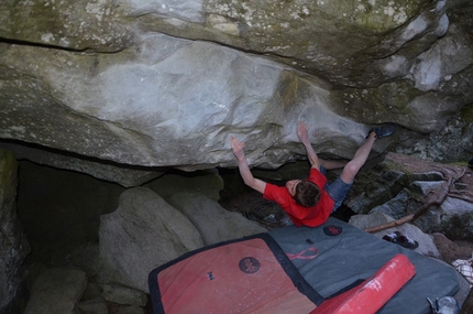 Giuliano Cameroni - Giuliano Cameroni, Microcosmos, 7C, Magic Wood