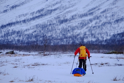 Cammino del Sarek, Circolo Polare Artico - Cammino del Sarek, Circolo Polare Artico. Passo dopo passo, il Sarek racconta il suo ambiente invernale