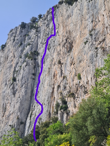 Punta Argennas, Sardegna, Mathias Mandi, Klaas Willems - Il tracciato di 'I Ribelli Della Montagna' su Punta Argennas in Sardegna, aperta da Mathias Mandi e Klaas Willems 