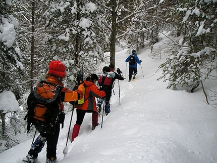 Escursioni con le racchette da neve in Friuli Venezia Giulia - Racchette da neve in Friuli Venezia Giulia: Monte Ruche