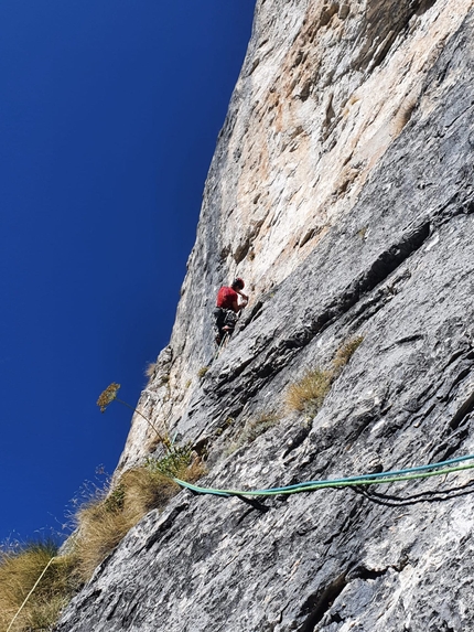 Dolomiti di Brenta, Cima Mondifrà, Selezione naturale, Manuel Bontempelli, Tiziano Canella, Giordano Faletti, Vincenzo Mascaro - Selezione naturale alla Cima Mondifrà (Dolomiti di Brenta) di Manuel Bontempelli, Tiziano Canella, Giordano Faletti, Vincenzo Mascaro