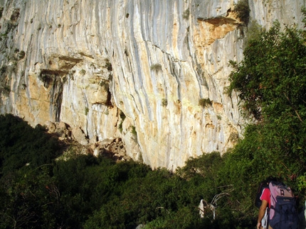 Oltreconfine, nuova via sul M.te Ginnircu, Sardegna - Fabio Palma, Matteo Della Bordella e Domenico Soldarini hanno aperto Oltreconfine (220m, 7c max, 7° obb.) sulla parete “Amor de Mi Vida” del Monte Ginnircu (Supramonte di Baunei, Sardegna). Prima libera di Paolo Spreafico.