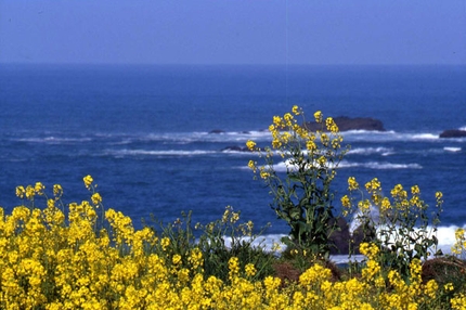 Le Chemin des Phares tra l'Oceano e il cielo di Bretagna - Dopo i vertiginosi Fiordi norvegesi, Franco Voglino e Annalisa Porporato ci accompagnano tra i silenzi antichi della Bretagna, lungo il 