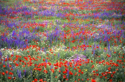 Tempus fugit, Ala Daglar - la Turchia dei fiori - Dal 2 al 17 giugno Mauro Florit, Marco Sterni, Umberto Iavazzo e Massimo Sacchi hanno aperto “Tempus fugit” 7b 700m sulla parete sud di Kizilin Baci 2944 m, Turchia.