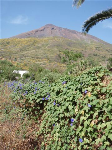 Stromboli, trekking sul vulcano e boulder sul mare - L’isola di Stromboli, una delle sette isole delle magnifiche Eolie, è una metà affascinante per una vacanza in tutto relax all’insegna delle spettacolari eruzioni del vulcano ma anche del boulder in riva al mare. 