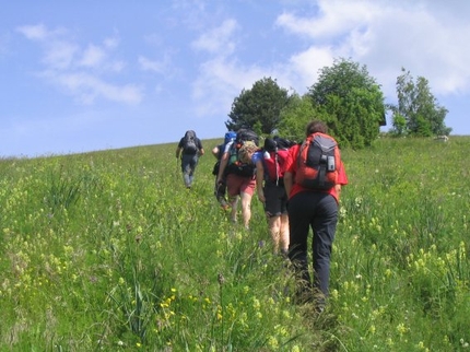 TV 1 – L'alta Via delle Prealpi Trevigiane - Valerio Scarpa presenta l’Alta via delle Prealpi Trevigiane che con uno sviluppo di 120 Km attraversa il Monte Grappa, il Cesen, il Cansiglio e parte del Col Visentin per un trekking tutto da scoprire.