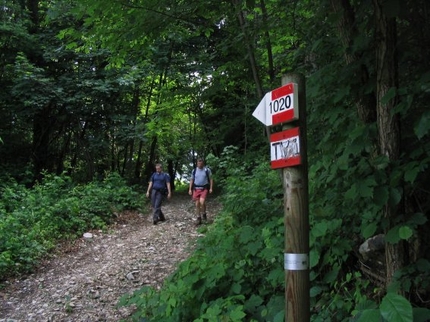 TV 1 – L'alta Via delle Prealpi Trevigiane - Valerio Scarpa presenta l’Alta via delle Prealpi Trevigiane che con uno sviluppo di 120 Km attraversa il Monte Grappa, il Cesen, il Cansiglio e parte del Col Visentin per un trekking tutto da scoprire.