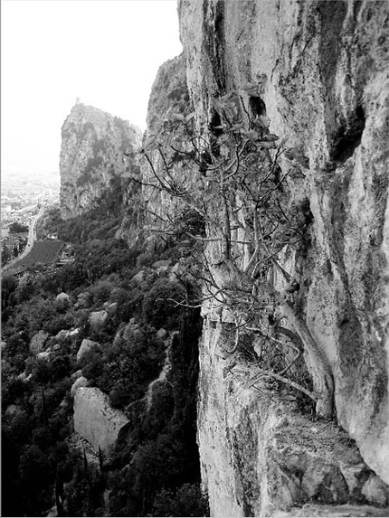 Nuova via sul Monte Colodri per Antonini e Calzà - Massimo Antonini e Giampaolo ‘Trota’ Calzà hanno aperto la Via Giovanni Segantini (280m, 6c+ max) sulla parete est del Monte Colodri (Arco, Trentino).